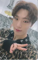 SEVENTEEN DREAM DINO トレーディングカード