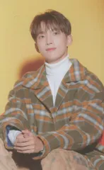 SEVENTEEN あいのちから DK トレーディングカード