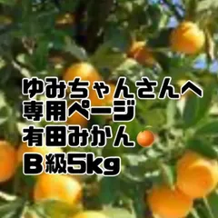専用ページゆみちゃんさんへ有田みかん5kg