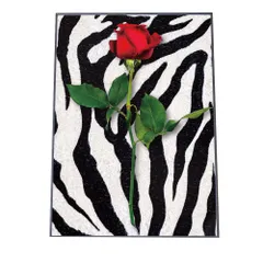 【A0サイズ（約84x119cm）】【yoko-poster-7006】バラ 赤 花 ポスター フラワー アートプリント ポスター インテリア おしゃれ アート モダン シンプル お洒落 縦