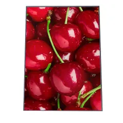 【A3サイズ（約30×42cm）】【yoko-poster-7031】チェリー レッド 赤 果物 アートプリント ポスター インテリア おしゃれ アート モダン シンプル お洒落   特大 大きい 小さい 縦