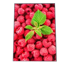 【B4サイズ（約25x36cm）】【yoko-poster-7032】チェリー レッド 赤 果物 アートプリント ポスター インテリア おしゃれ アート モダン シンプル お洒落   特大 大きい 小さい 縦