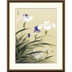 ☆太巻高級掛軸【菖蒲 あやめ】日本画家 田中基美◇紙本肉筆 共箱付