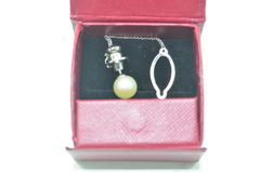 Item thumbnail for item c5f37d7e-8241-4109-9b02-7c21b431df66