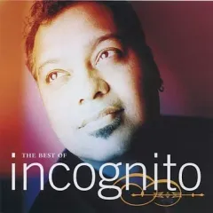 2026年最新】Incognito cdの人気アイテム - メルカリ