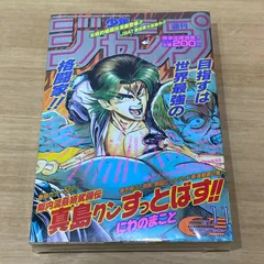 集英社　週刊少年ジャンプ　1995年(平成7年) 11号