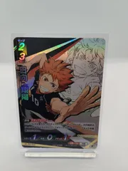 【HV-P01-002】日向翔陽  / ハイキュー バボカ ブレイク / 頂