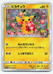 Pokemon SMプロモ 224/SM-P ピカチュウ(みんなでいわう)