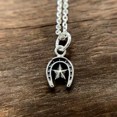 馬蹄チャームとピアスのセット