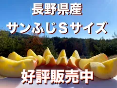 【本州、四国地域へ発送のお客様専用】長野県産　サンふじ　10キロ箱　Sサイズ　送料込み
