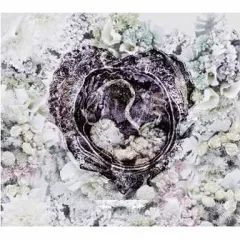 【中古】邦楽CD B.I.G. JOE / heart-beat[初回限定盤]