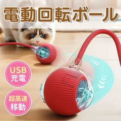 Item thumbnail for item 29d3932f-2b2a-41f5-bcbd-d13220b48615