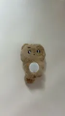 TOMORROW X TOGETHER(TXT) ポバトゥ ポバトゥ ボムギュ テヒョン(TAEHYUN) ぬいぐるみ