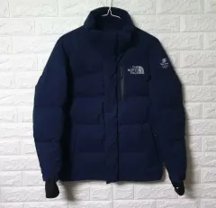 THE NORTH FACE ザノースフェイス チームコリア ダウンジャケット 出品
