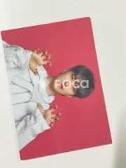 SEVENTEEN ホシ セブチ SEVENTEEN TOUR FOLLOW AGAIN TO JAPAN PHOTO CARD