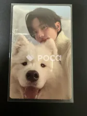 TWS シニュ Last Bell COMPACT Ver.