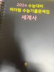 2024 マザートン 世界史 大学受験能力試験準備 過去問集 説明