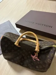 Louis Vuitton スピーディ モノグラム 35