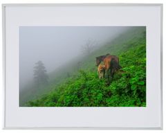 Item thumbnail for item 2b346813-4401-458d-a6d0-e06dcd7ee5f4