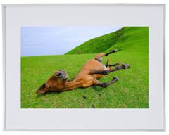 Item thumbnail for item a0847722-9558-473e-8019-7fe45bc6bbfe