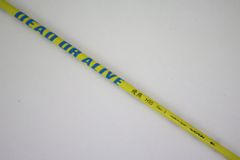 Item thumbnail for item 6cbe1d14-eb6a-447f-9313-3c310e9d1849