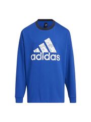 Item thumbnail for item 82941b32-76bf-44d9-9e5c-550bb7b5ad8c