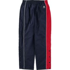 Item thumbnail for item 3a79016d-08ff-4c94-aa05-d829fa0db136