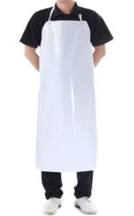 Item thumbnail for item 63eddebb-c609-43c7-a6c6-9039e8de1474