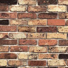 Item thumbnail for item 98e07df4-7107-4956-95f0-8d525a8221ae