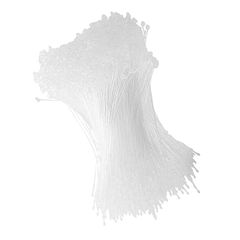 Item thumbnail for item 5dbfe7d8-23e4-45db-98e9-d3706699b888