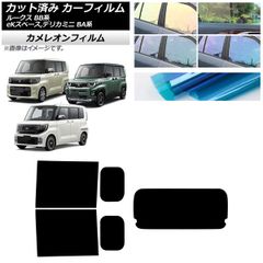 Item thumbnail for item 909c38c1-d7b1-4623-9fd6-2014a9686712