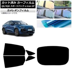 Item thumbnail for item 2be254c4-e787-4be1-aa36-7726d7c806d1