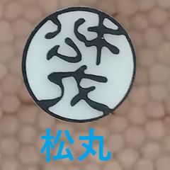 Item thumbnail for item 7457a1d2-0f44-408d-bbbf-15303afc1461