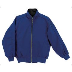 Item thumbnail for item a03c66d8-9e50-4c2a-bae1-20f8d9798b88