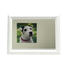 Item thumbnail for item 8db8009c-d822-4b75-b29f-2374614e7a95