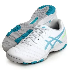 アシックス asics  DS LIGHT JR GS TF (DSライト)  ジュニア サッカートレーニングシューズ  24FW (1104A053-100)、22.5cm
