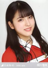 Item thumbnail for item 8c560244-cf95-4c90-a7c5-c57f3fbe1cce