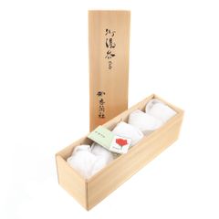 Item thumbnail for item 24a5e6ae-e702-4df8-9c82-fae75cf83c5e