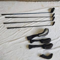 Item thumbnail for item 3af8d67e-3e86-4876-b7a0-315208ec641c