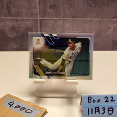 Item thumbnail for item e864d062-447b-4c67-ac15-71b91582c672