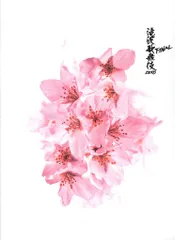 SnowMan 23年滝沢歌舞伎ZERO FINAL パンフレット