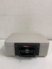 Item thumbnail for item f833363c-a492-459d-bb36-a16b2d80098e