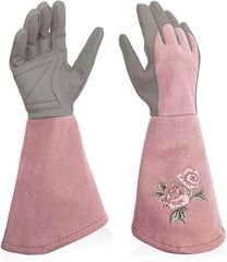 Item thumbnail for item 98d86538-70a0-4645-aa49-ae11ba0b0349