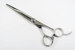 Item thumbnail for item c70e0f8a-ed63-459d-8800-45cfacff5a6c