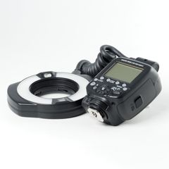 Item thumbnail for item 728aa6a9-2e2a-4da0-82ef-529a5c042c67