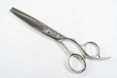 Item thumbnail for item c1e9bda7-5266-4232-87b9-a7621b787362