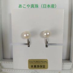 Item thumbnail for item 4d4b463a-beff-48b7-ad86-033860008f65