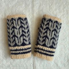 Item thumbnail for item 09d3d4b0-1037-42ba-9293-f6eaf4899ba6