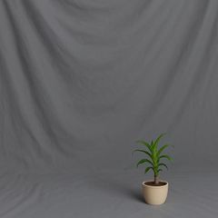 Item thumbnail for item 37355ae1-9beb-4d46-9cdf-daed3249b709