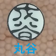 Item thumbnail for item 1d8ff39c-04ac-4150-80ce-7adceab4cf2b